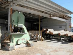 Tronchi in segheria pronti per la lavorazione 